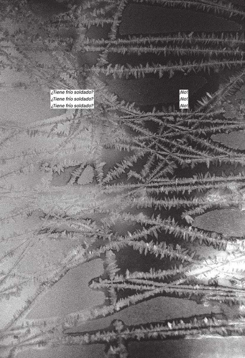 Black and white close-up photograph of frost crystals on glass. Text overlaid reads: ¿Tiene frío soldado? three times, with No! three times to the right.